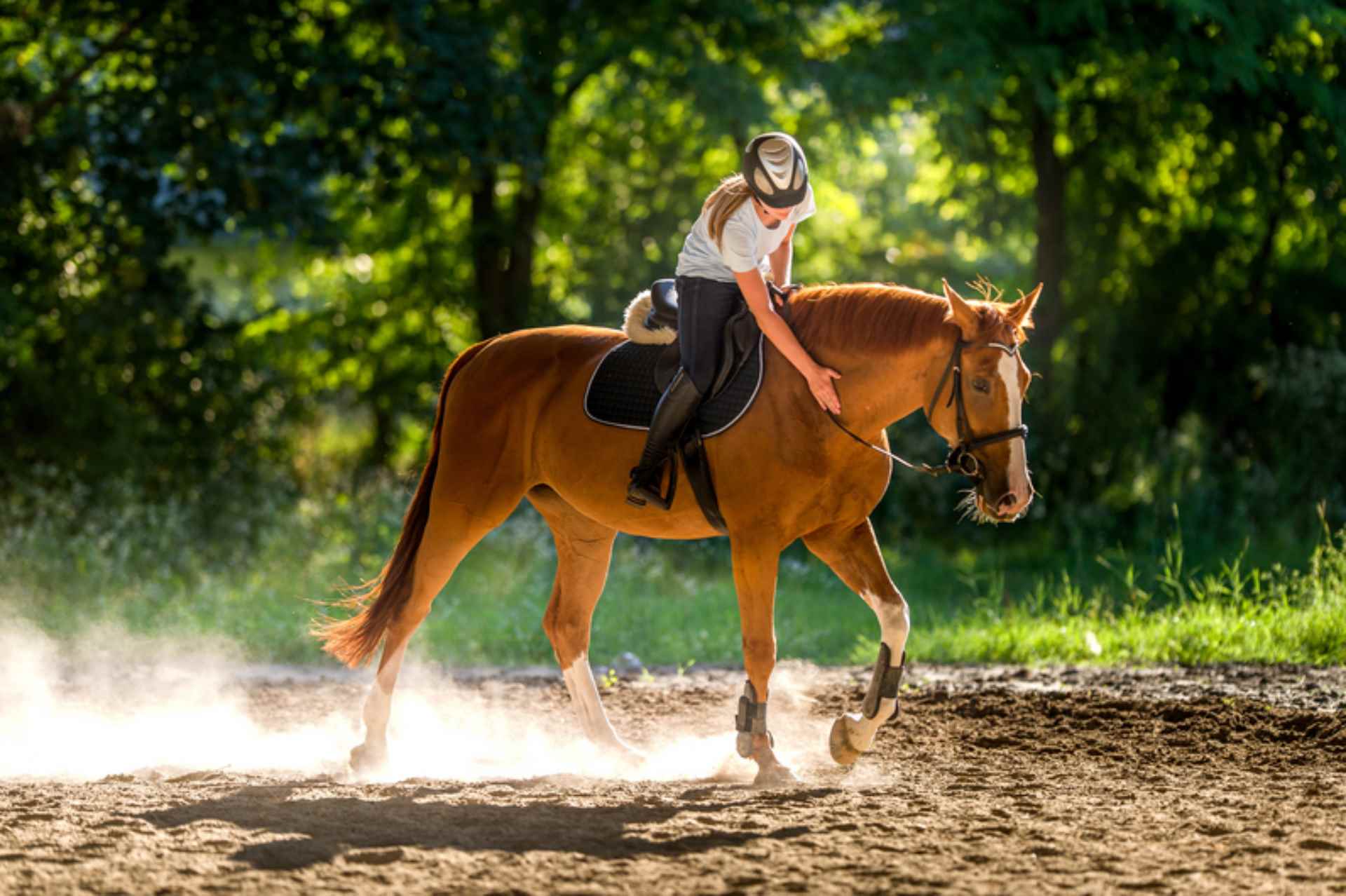 Reiten im Urlaub in Flachau